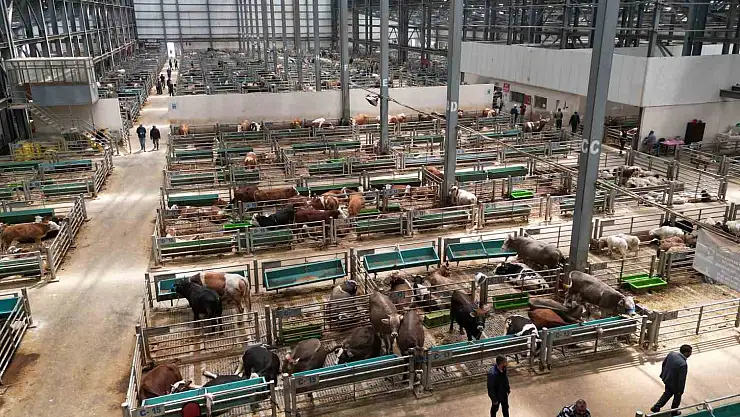 5 yılda 2 milyon kişi ziyaret etti