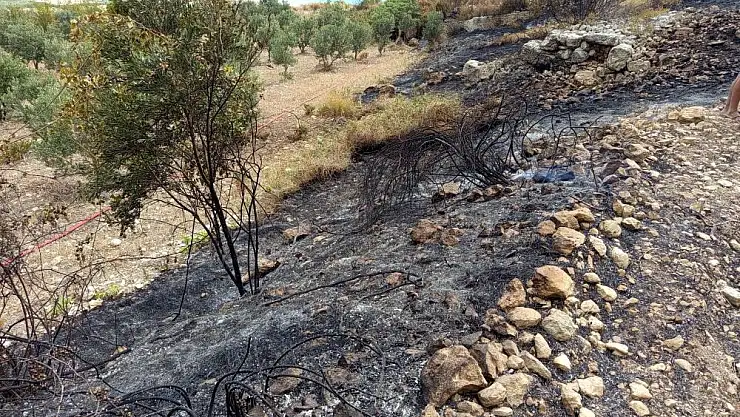 Hatay'da çıkan yangına havadan karadan müdahale edildi