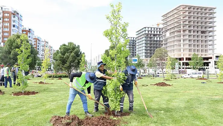 Diyarbakır'da peyzaj çalışmaları devam ediyor