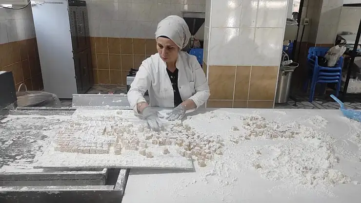 Girişimci kadınlar, organik çilek lokumu üretiyor