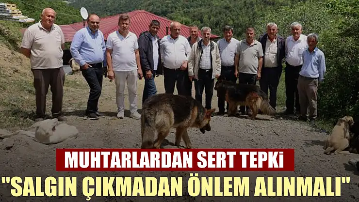 Muhtarlardan sert tepki: 'Salgın çıkmadan önlem alınmalı'