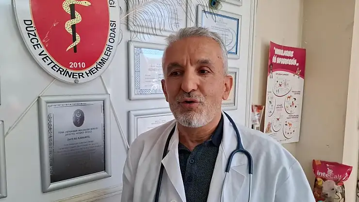 Kurban bayramı öncesi haraketlilik sürüyor