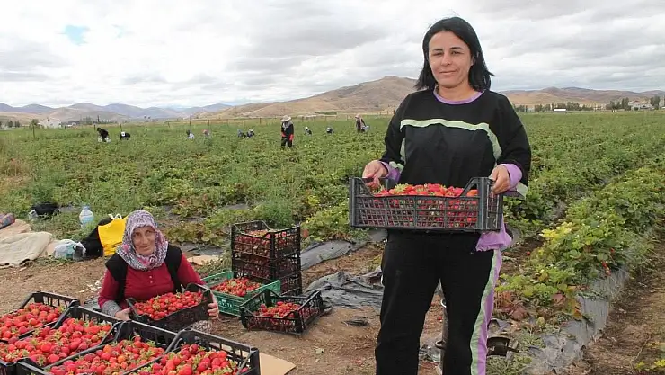 15 kadına umut oldu