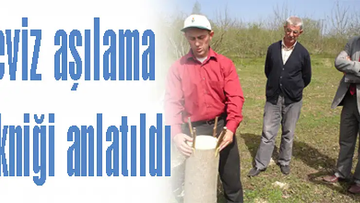 Ceviz aşılama tekniği çiftçilere anlatıldı