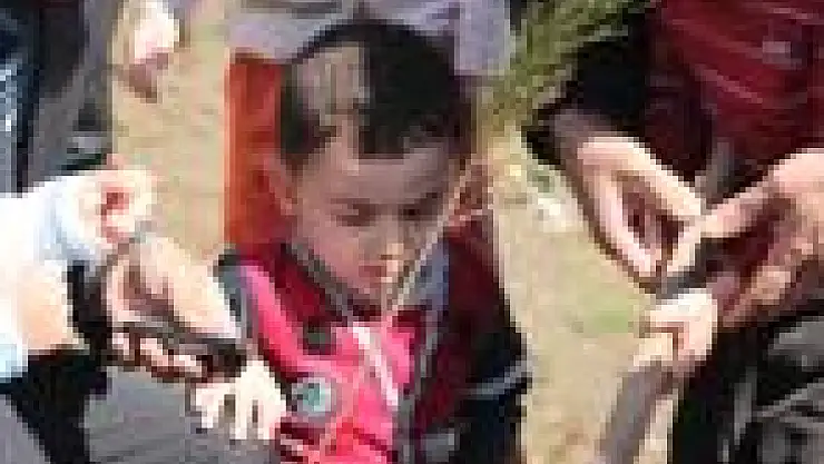 Minikler Fidan Dikti