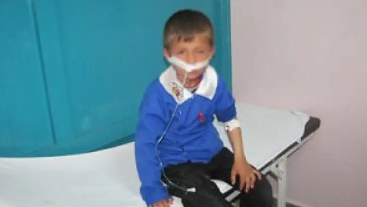 48 öğrenci sütten zehirlendi