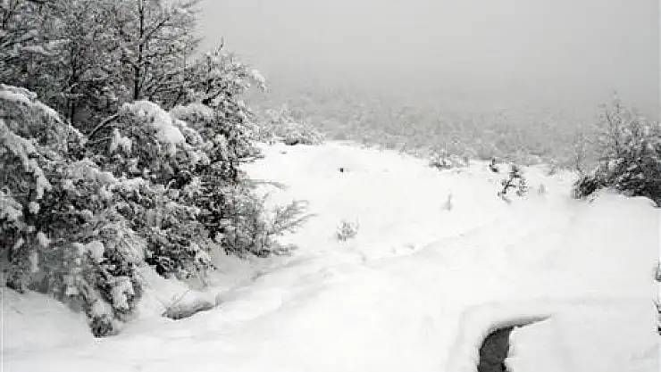 Kar geçit vermiyor