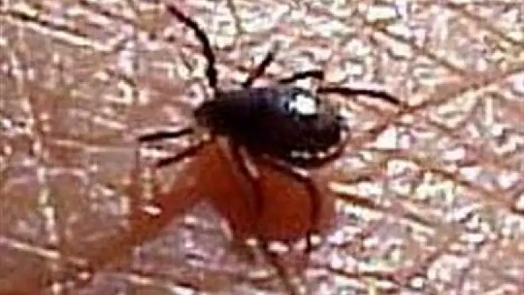 Kenede ezber bozan uyarı: Önce çıkarın!