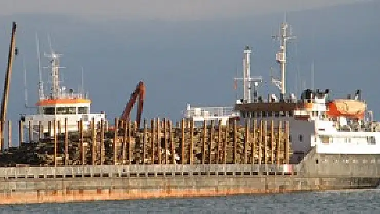 Doğu Karadeniz'de Tarım İhracatı