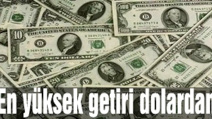 En yüksek getiri dolardan