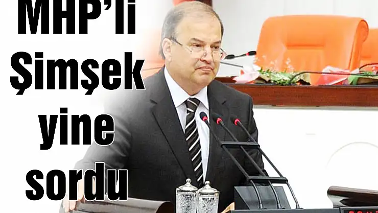 MHP'li Şimşek yine sordu
