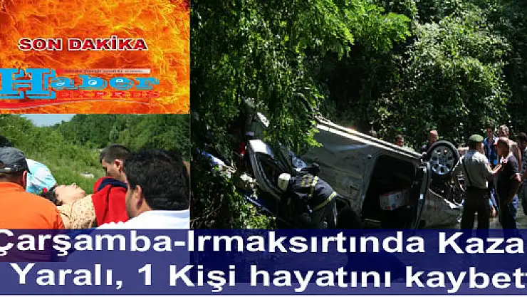 MİNİBÜS DEREYE UÇTU: 1 ÖLÜ, 4 YARALI