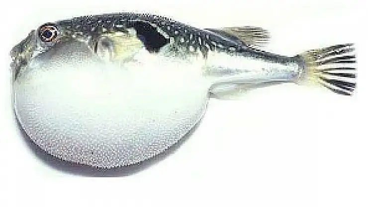 TÜBİTAK'tan önemli uyarı