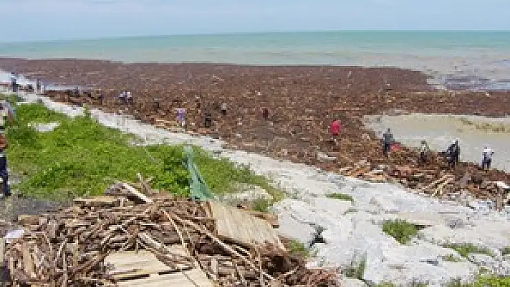 Karadeniz 'Odun Deniz' Oldu