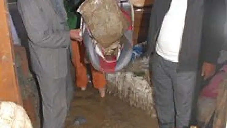 Şehitin evi sular altında kaldı…