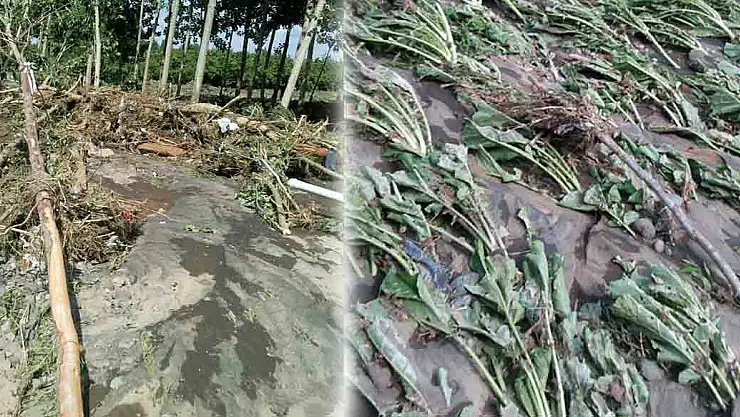 SELDEN TARIM ALANLARI DA ZARAR GÖRDÜ