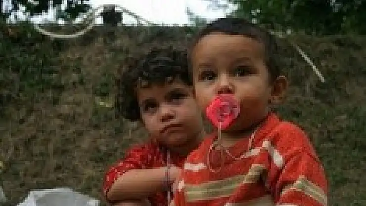 Ayvacık Ziraat Odası'ndan Fındıkçılara Uyarı