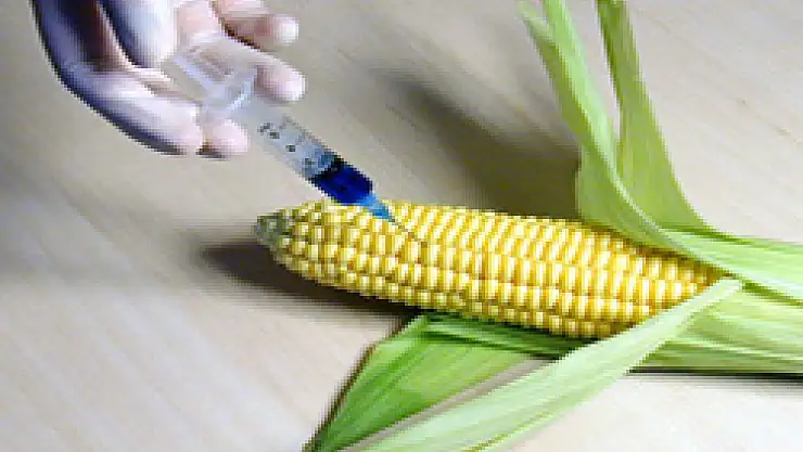 'GDO'lar gizli silah'