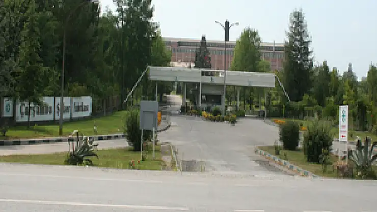 Altın Yumurtlayan tavuk öldürülüyor!