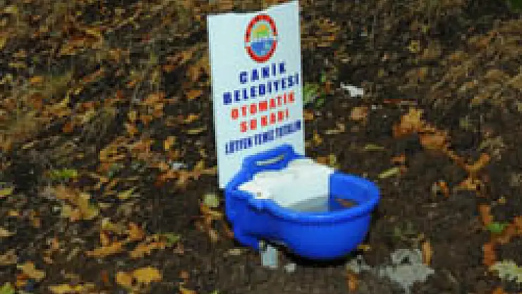 Canik Hayvanları koruyor