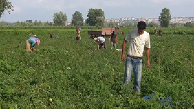Urfalı işçi hakkını istiyor