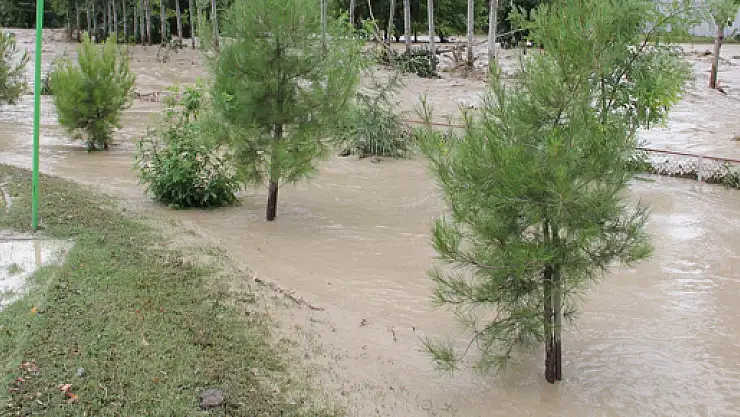 Sel Suları Ağaçları kökünden söktü