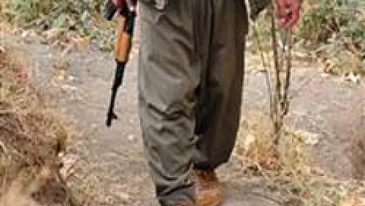 Öldürülen PKK'lıların sayısı 170'e yükseldi
