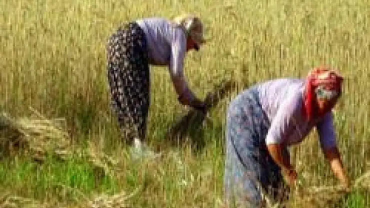 Çiftçi borçlarına 1 yıl erteleme