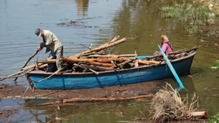 Derbent barajında odun avlıyorlar 