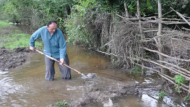 Çarşamba'da ekili alanlar sular altında