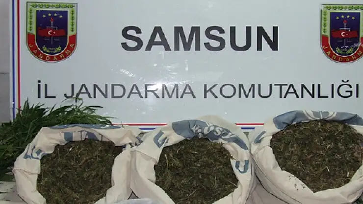 Jandarmadan Zehir Operasyonu