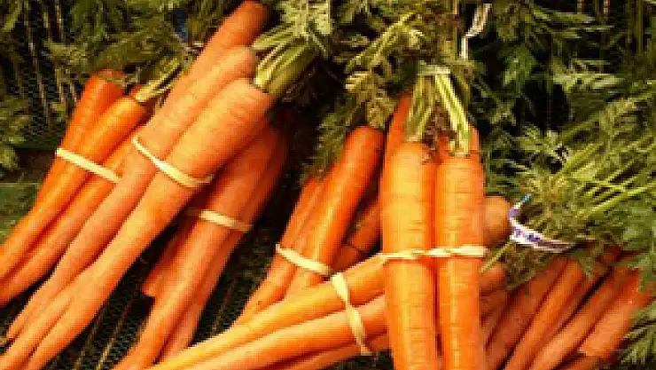 Havucun Hiç Duymadığınız Faydaları!