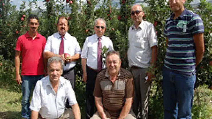 Meyvede Sıkıntı Pazarlamada