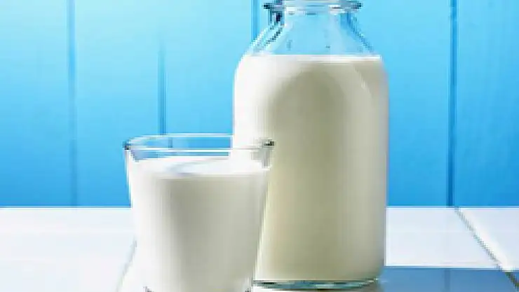 Toplanan Süt Miktarı Azaldı  