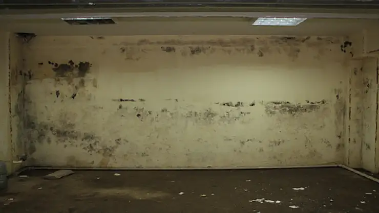 TOKİ vatandaşları aldatıyor mu?