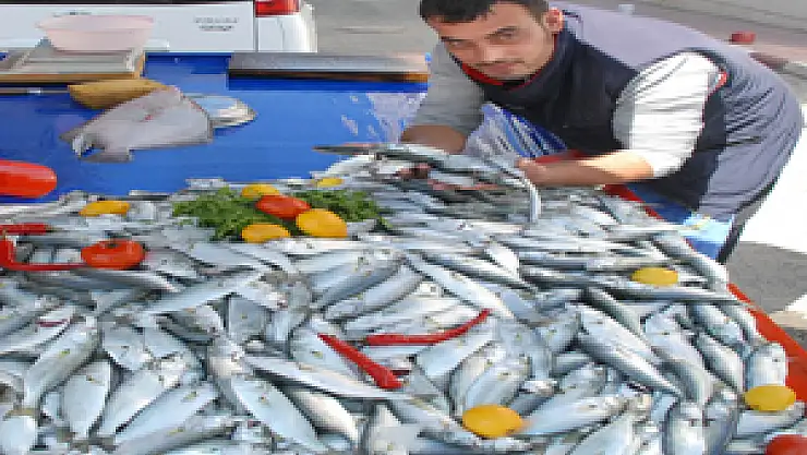  Çinakopun Kilosu 15 Liraya Düştü