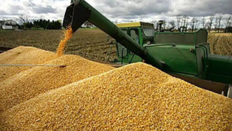 Dünya ortalamasını geçti