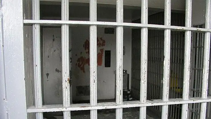 Hayvana işkenceye hapis cezası