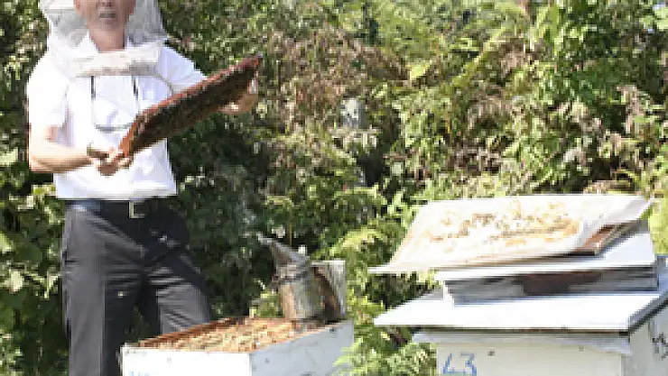 Üreticilerinden 'Sahte Bal' Uyarısı 