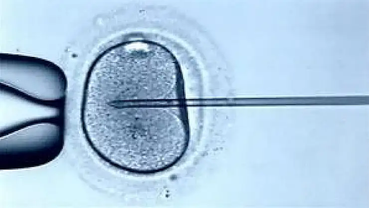 Yoksula tüp bebek müjdesi!