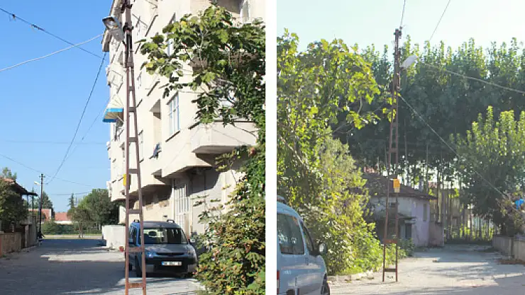 O direk hala ortada ama dilekçe orta da yok(muş)!