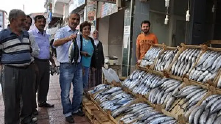 Balık Bollaştı, Palamut Ucuzladı