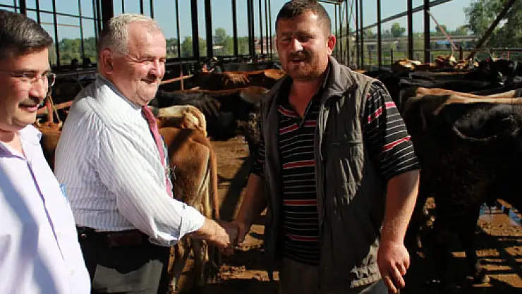 Kurbanlık fiyatları bu yıl biraz daha ucuz ama  