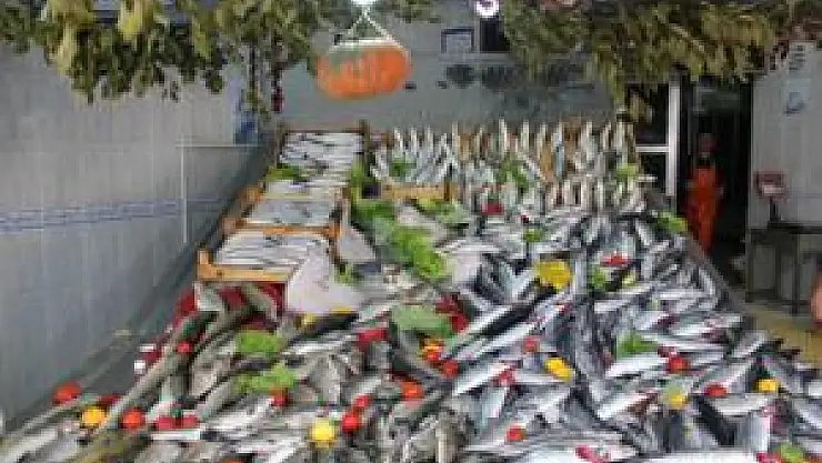 Son Palamutlar 3 Lira