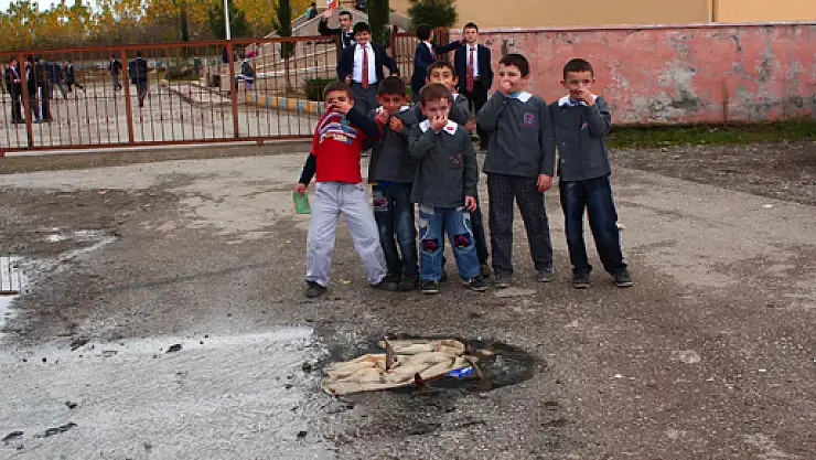 Göz göre göre sağlık skandalı