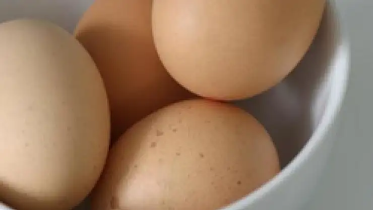 Yumurta üretimi arttı