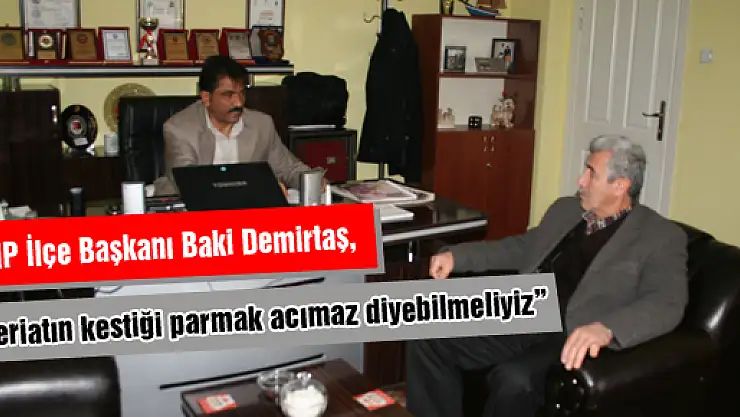 Demirtaş, 'Şeriatın kestiği parmak acımaz diyebilmeliyiz'