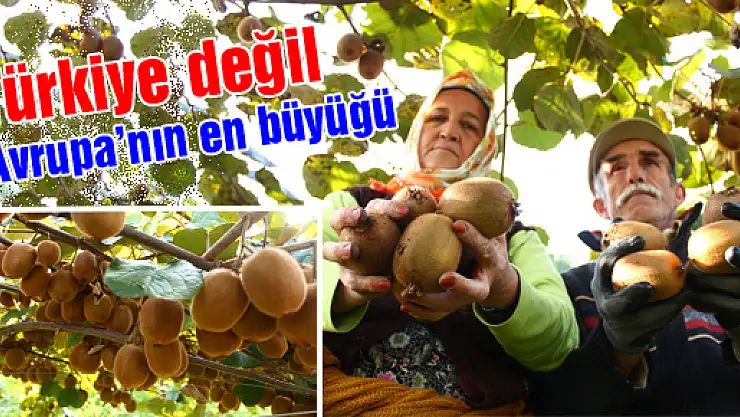 Türkiye değil Avrupa'nın en büyüğü