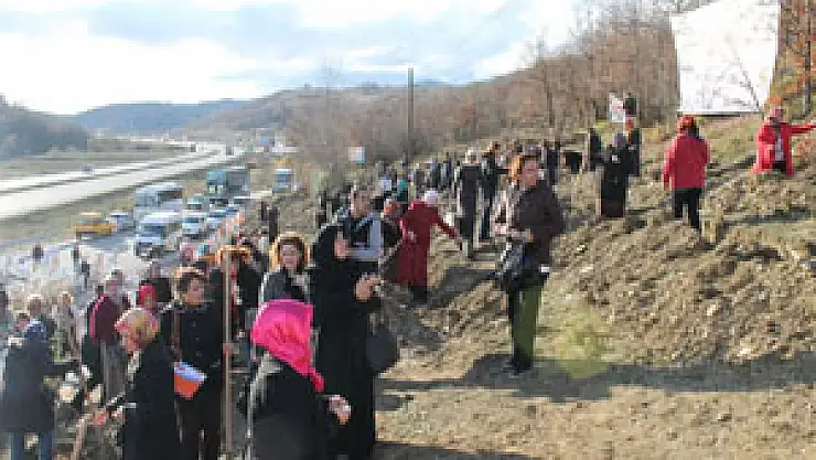 Samsunlu AK Kadınlar fidan dikti