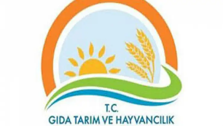 İnternette satışa sıkı takip